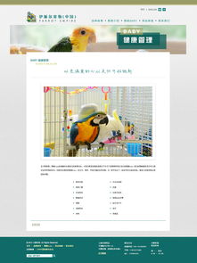 打造貼心體驗 寵物用品網站的設計要點與趨勢